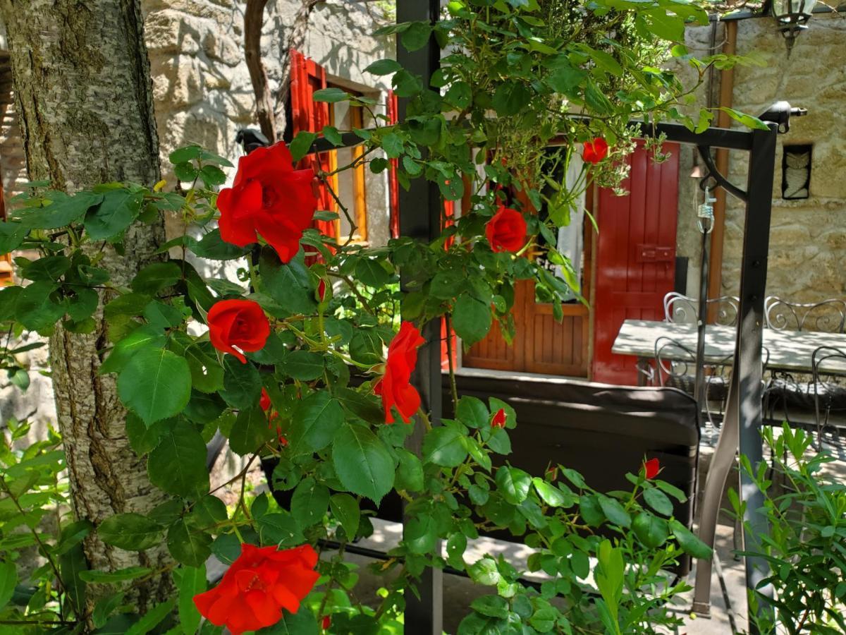 Appartamento La Baronessa Montefiascone Esterno foto