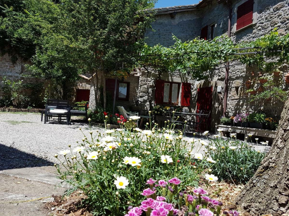 Appartamento La Baronessa Montefiascone Esterno foto